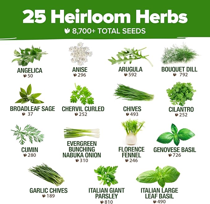 HOME GROWN 25 Herb Seeds Pack | 8700+ Heirloom Seeds | Indoor & Outdoor Planting | Culinary Herb Seeds Variety Pack | Perfect for Hydroponic Gardens | Arugula, Basil, Lavender & More