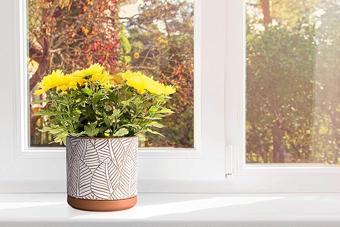 D'vine Dev Set of 2 Terracotta Pots, Broadleaf Pattern Planter Pot, 4 Inch and 6 Inch, Pot with Drainage Hole and Saucer, Terracotta/White, 31-958-H-1