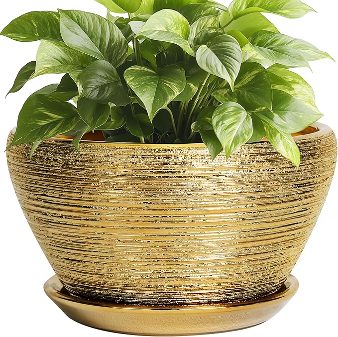 Ceramic Plant Pot Indoor - 9 Inch Planters for Outdoor Plants Decorative Plant Pot with Drainage Hole and Saucer Round Planter Modern Flower Pot Decorative for House Decor Gold