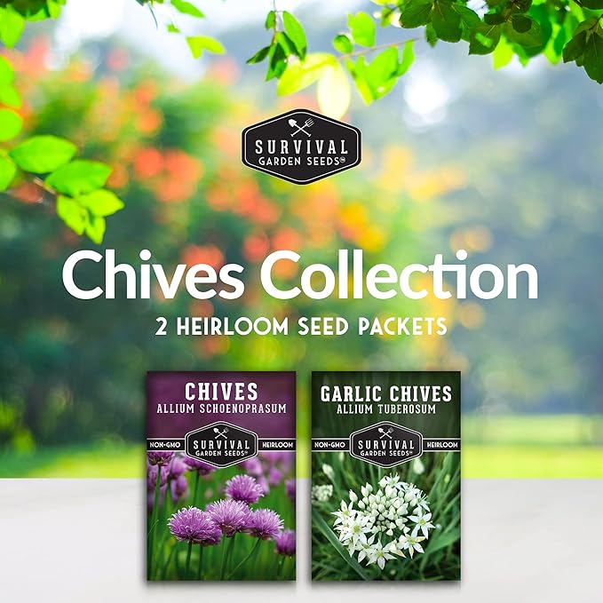 Survival Garden Seeds Chive Seed Collection - Common & Garlic Chives – 2 Packets of Non-GMO Heirloom Open-Pollinated Herb Seed Varieties to Plant in Your Vegetable Garden – Seed Saver Instructions