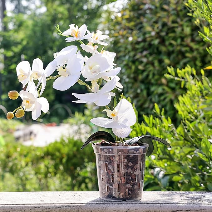 TRUEDAYS 4 Pack Orchid Pot 5 Inch Clear Plastic Plant Pots with Drainage Holes for Indoor Outdoor Plants