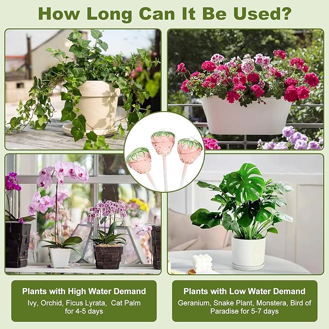 3 Packs Strawberry Plant Watering Globes, Large Water Globes for Indoor Plants, Glass Self Watering Planter Insert, Top-Fill Watering Bulbs for Indoor Outdoor Plants