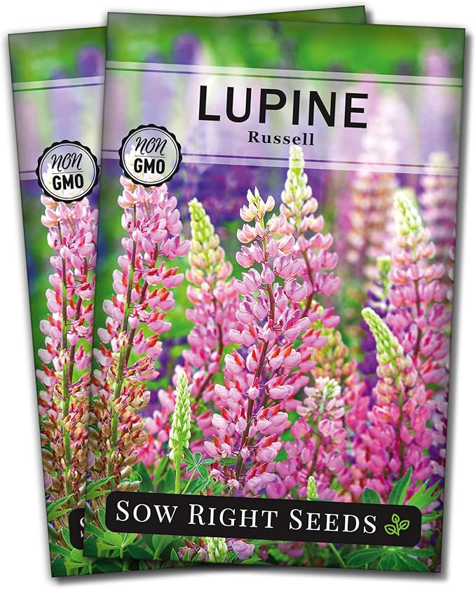 Sow Right Seeds - Russell Lupine Seeds for Planting - Non-GMO Heirloom Packet with Instructions to Plant in Your Garden - Perennial Flower to Attract Hummingbirds and Bees - Spiked Wildflower Mix (2)