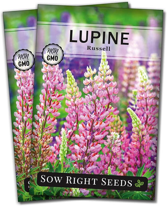 Sow Right Seeds - Russell Lupine Seeds for Planting - Non-GMO Heirloom Packet with Instructions to Plant in Your Garden - Perennial Flower to Attract Hummingbirds and Bees - Spiked Wildflower Mix (2)