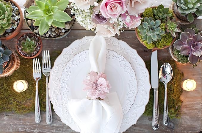 Succulents Plants Live (12PK) Potted Succulent Plants Live House Plants, Cactus Plants Live Plants Indoor Plants Live Houseplants, Indoor Plant Succulents Live Plant House Plant by Plants for Pets