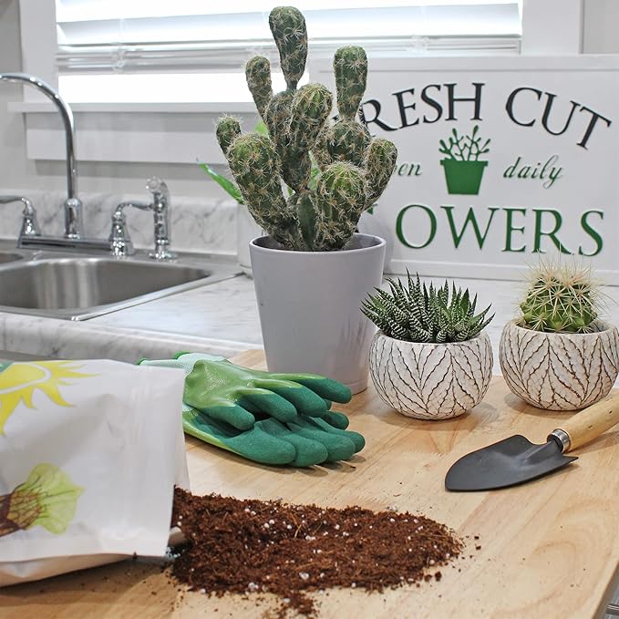 Coco Peat Perlite Potting Mix (12 Quarts), Loose Coconut Coir and Perlite