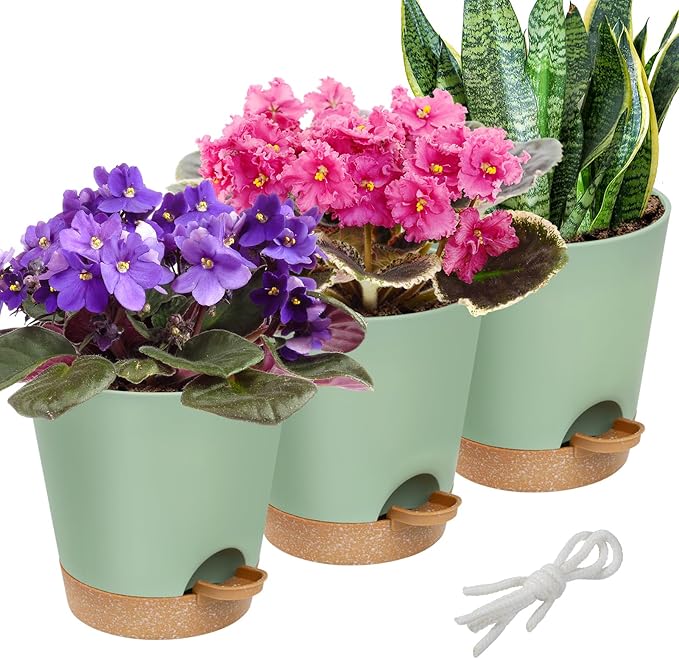 6in Self Watering Pots for Indoor Plants - 3pcs Bottom Watering African Violet Planters with Drainage, Plastic Houseplant Flower Pots for Snake Plant Succulent Garden Live Plants