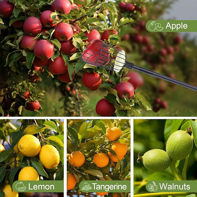 Fruit Picker Pole with Basket - 8.43FT(101Inch) Adjustable Tree Gardening Supplies with Stainless Steel Handle Apple Picker Fruit Grabber Reach Tool for Mango Pear Orange Avocados Fruit Picking, Black