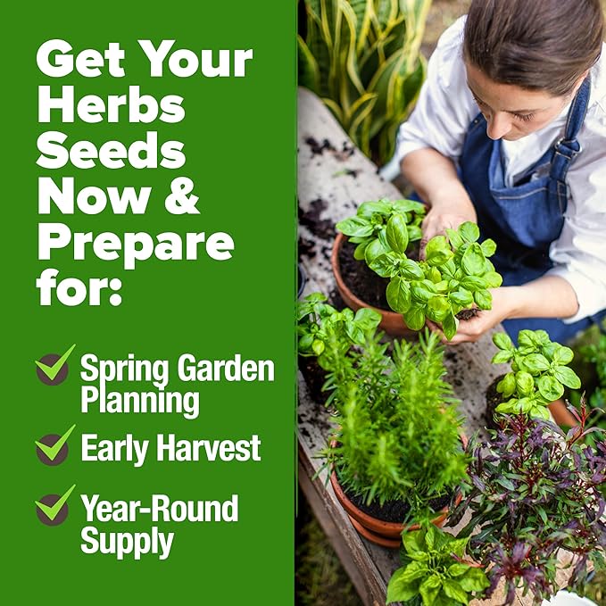 HOME GROWN 30 Herb Seeds Pack | 9,500 Non-GMO, Heirloom Seeds | Indoor & Outdoor Planting | Culinary Herb Seeds Variety Pack | HG30H Perfect for Hydroponic Gardens | Parsley, Rosemary, Thyme & More