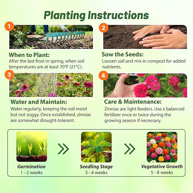 Outsidepride Zinnia Seeds - 1 Lb. Annual Blend of Hardy Compact Mixed Color Ball-Shaped Blooms for Planting in Outdoor Containers, Borders, Flower Beds, Cutting Gardens & Pollinator-Friendly Spaces