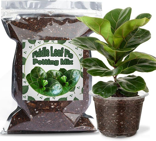 Organic Fiddle Leaf Fig Potting Mix 10qt, Indoor Plants Potting Mix for All Potted Ficus Lyrata Plant, Grow Healthy houseplants Indoors
