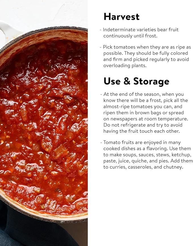 Burpee 'Gladiator',25 Non-GMO Seeds, Hybrid Red Slicing & Paste Delicious Roma Tomato Variety, Indeterminate Seeds for Home Garden