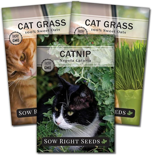 Sow Right Seeds - Catnip and Cat Grass Seed Collection for Planting Indoors or Outdoors - Includes Popular Herb Catnip and Cat Grass (100% Sweet Oat Grass) - Non-GMO Heirloom Packet - Pet Friendly