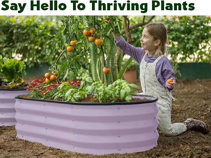 Galvanized Raised Garden Beds Outdoor // 4×2×1 ft (2-Pack) Planter Raised Beds for Gardening, Vegetables, Flowers (Lavender) // Large Metal Garden Box