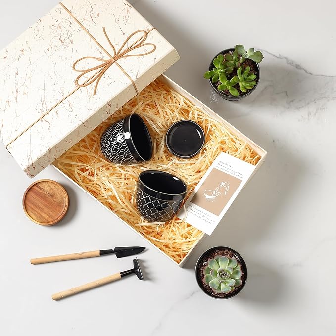 Sureasy Succulent Pots, 3.5 Inch Flower Pots for Indoor Plants, Small Plant Pots with Saucer & Drainage, Decorative Ceramic Planters for Succulent, Cactus, Set of 4, Black