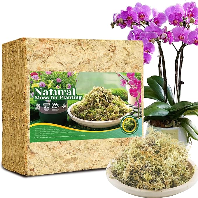 3LB Sphagnum Moss for Plants Indoor, Premium Peat Moss for Reptiles Terrarium-60 Quarter, Natural Long Fiber Orchid Moss for Repotting Propagation Succulent Sarracenia Carnivorous Gardening