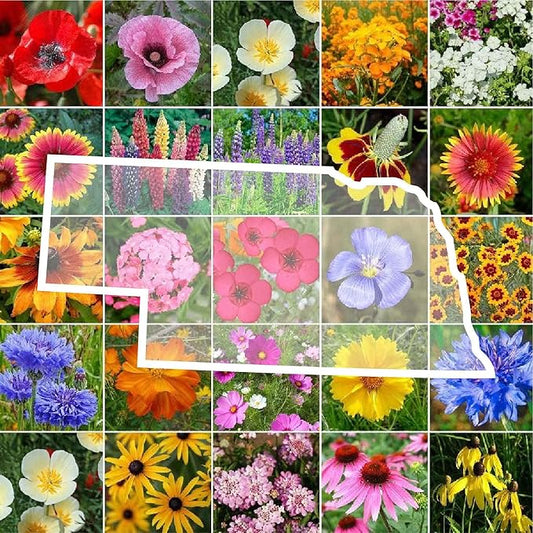 Eden Brothers Nebraska Wildflower Mixed Seeds for Planting, 1/4 lb, 120,000+ Seeds with Candytuft, Blanket Flower | Attracts Pollinators, Plant in Spring or Fall, Zones