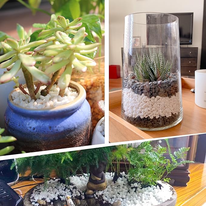 45LB 1/4in White Gravel for Succulent,Cactus Bonsai,DIY Terrarium, Fairy Gardening, Top Dressing,Aquarium