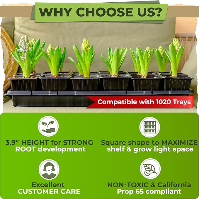 CARPATHEN 60Pack Square Nursery Pots - 3.8 Inch Reinforced Nursery Pots for Plants with Drainage - Reusable Seed Starter Pots for Flowers, Vegetables - Seedling Pots Kit with 10 Plastic Reusable Tags