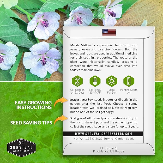 Marsh Mallow Seed for Planting - 1 Packet with Instructions to Plant and Grow Rare Medicinal Flowering Herbs in Your Home Vegetable Garden - Non-GMO Heirloom Variety - Survival Garden Seeds