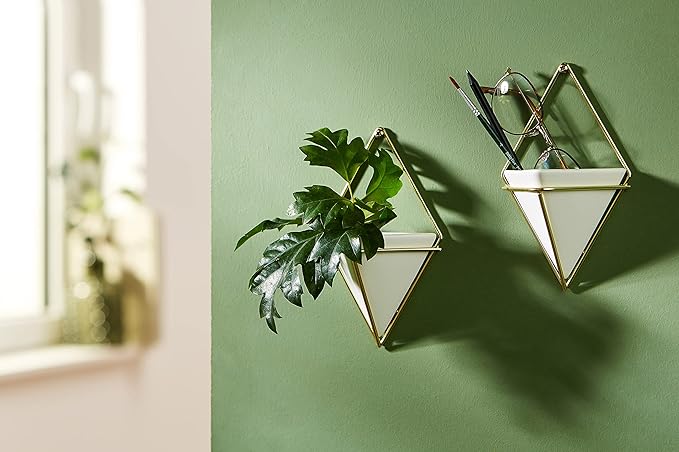 Umbra Trigg Hanging Planter Vase Wall Decor, Set of 2 Pots Containers for Succulents, Cactus, Faux Plants, and More, Small, White/Brass