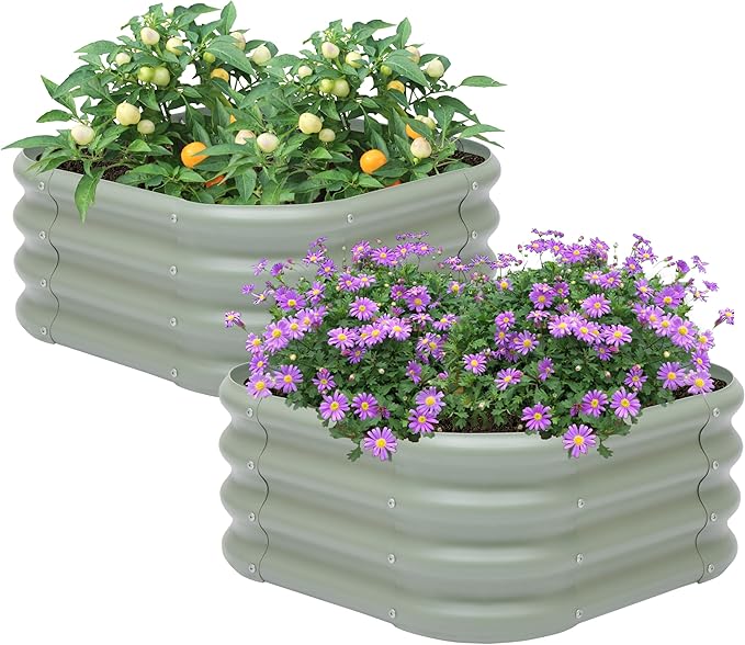 2-Pack 2x1ft Galvanized Raised Garden Bed, Outdoor Planter Bed, Metal Planter Box for Gardening and Planting,LG