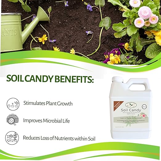 Worm Castings Tea Plant Juice with Bat and Seabird Guanos. Soil Candy, Quart with Added Kelp and Feather Meals and Humic Acid. Soil Restorer - Plant Fertilizer - Compost Starter