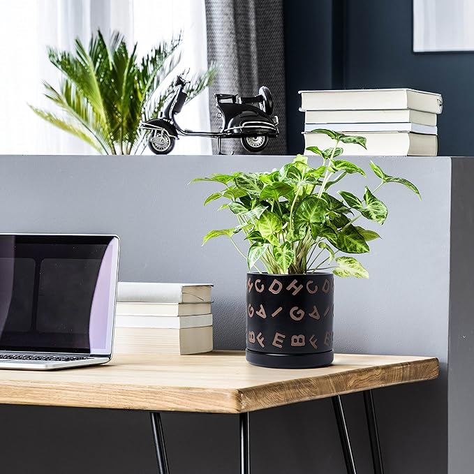 D'vine Dev Set of 2 Ceramic Planter Pots with Drainage Hole and Saucer, 4.5 Inch 6 Inch Plant Pots for Plants Indoor Houseplants, Black, 99-G-2