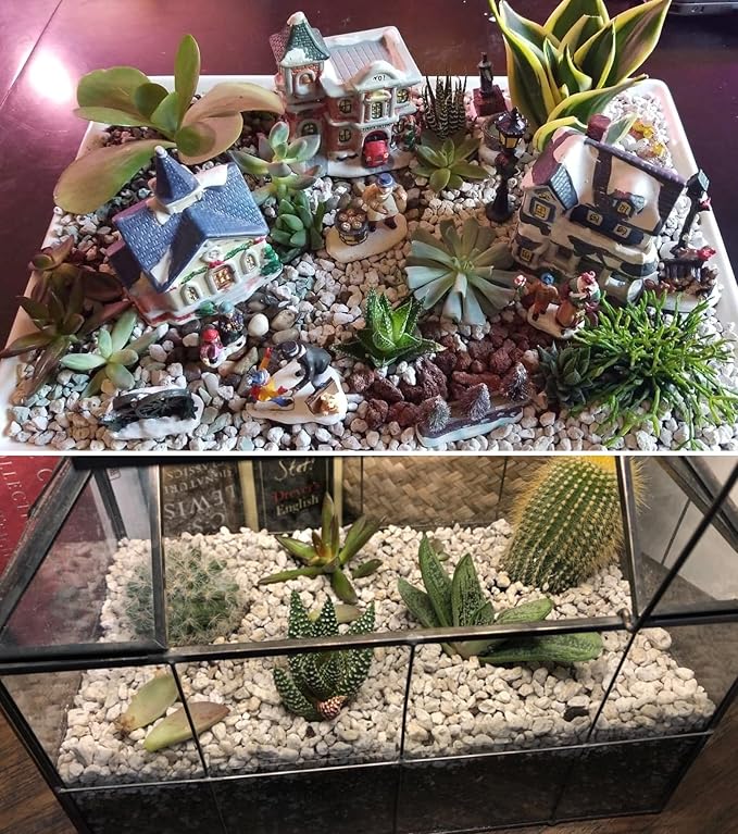 Garden Pumice Rock Horticultural Cactus Bonsai Succulent Soil Additive for Plants, Landscaping, Vase Fillers (1/2 inch, 10QT)