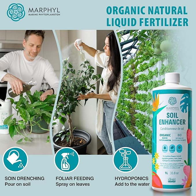 MARPHYL Plant Fertilizer Houseplants and Garden - Marine Phytoplankton Soil Improver and Hydroponic Fertilizer for Grasses, Bamboo, Succulents, & Vegetables - Organic Plant Fertilizer Liquid
