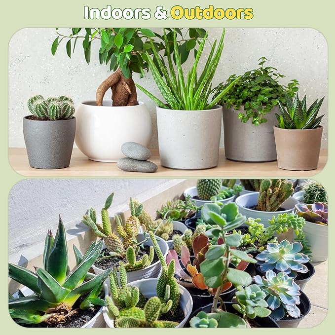 Cactus and Succulent Soil Potting Mix 1qt, Well Draining Chunky Soil Mix for Indoor Plants, Gritty Soil for Healthy Indoor Plants - Spike & Bloom