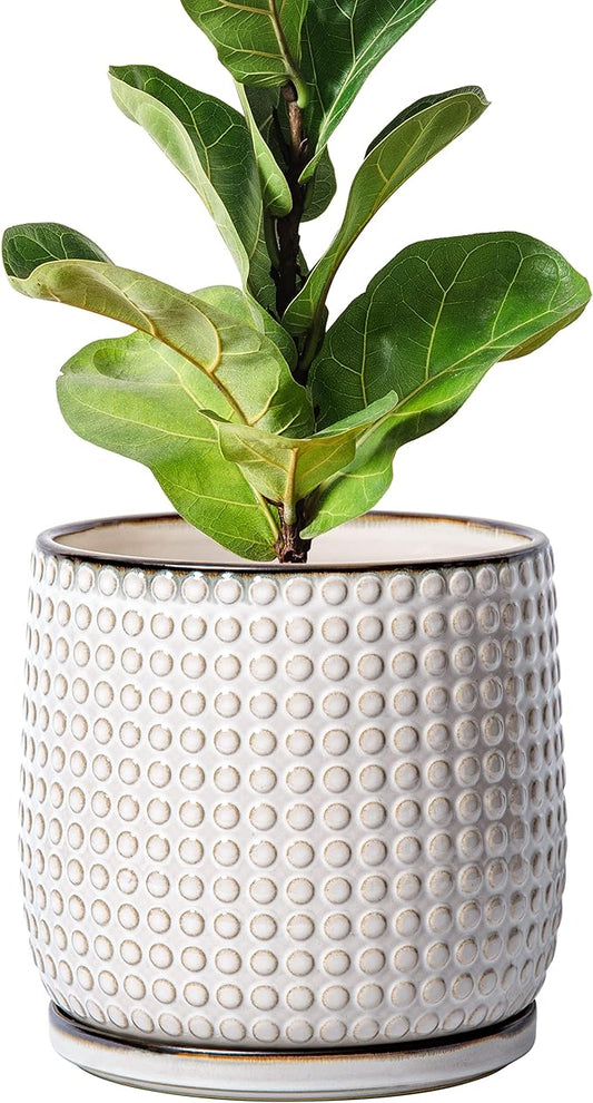 D'vine Dev 8 Inch Ceramic Beaded Stoneware Planter Pot - Flower Pot with Drainage Holes and Saucers for Indoor Succulent Plants or Flowers, Smoked White, 27-C-Q-1