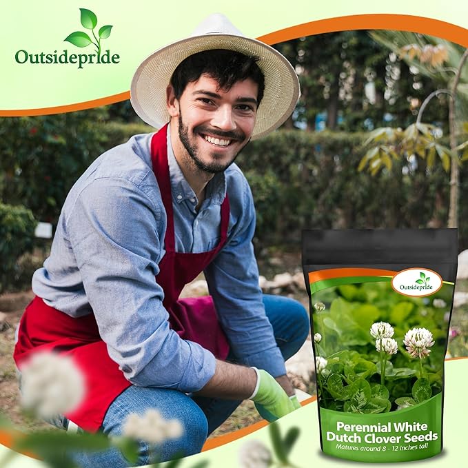 Outsidepride Perennial White Dutch Clover Seed - 10 lbs. Nitrocoated, Inoculated Clover Seeds for Lawn Alternative, Erosion Control, Food Plots, Ground Cover, & Pasture Mixtures in USDA Zones 3-10