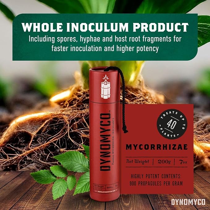DYNOMYCO Mycorrhizal Inoculant - Plant Growth & Root Treatment, Concentrated Mycorrhiza Formula, Boosts Nutrient Uptake, Mycorrhizae Plant Food for Resilience & Fertilizer (200g / 7oz)