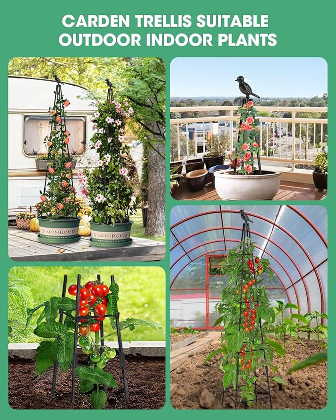 Trellis for Climbing Plants Outdoor, 2 Pack Plant Trellis Support for Climbing Vine, Plant Support Tower Cages Plastic Coated Metal Pipe Supports for Outdoor Indoor,Tomato cage (Black, 6 FT)