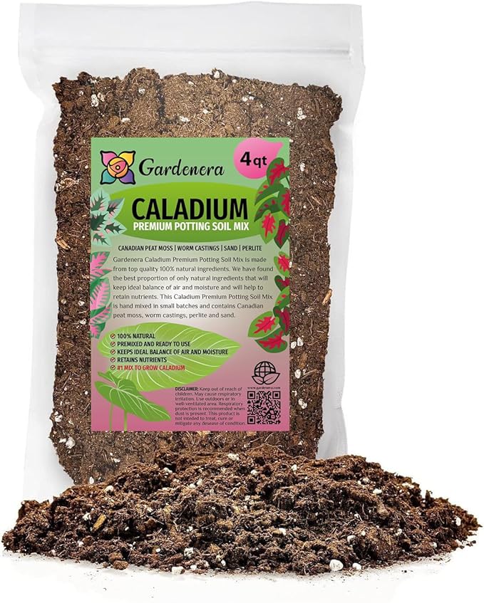 Caladium Potting Mix - Promote Strong Roots and Captivating Patterns with Our Premium Blend - 4 Quart