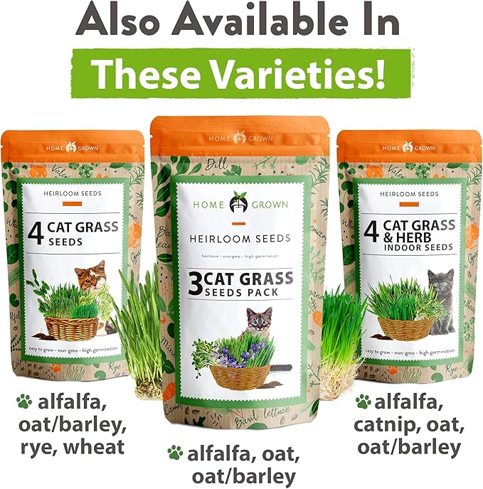HOME GROWN Cat Grass Seeds - Grow Cat Grass for Indoor Cats - Cat Grass Seeds Bulk - Refill Cat Growing Grass Kit - Heirloom Cat Grass Seed (Cat Grass - 4pack)