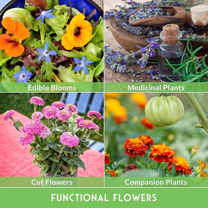 Survival Garden Seeds Functional Flowers Garden Kit - 36 Pack Starter Collection - Bee, Butterfly, Hummingbird, Pollinator Friendly Annual & Perennial Open-Pollinated Heirloom Flower Seed Varieties