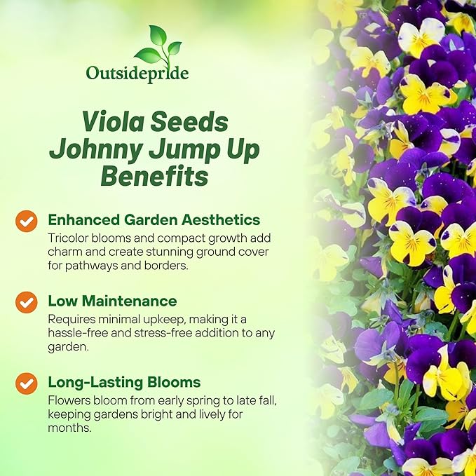 Outsidepride 1/2 lb. Perennial Viola Johnny Jump Up Flower Seeds for Planting