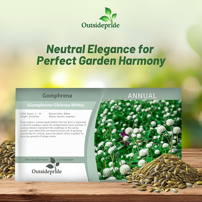 Outsidepride 1000 Seeds Annual White Gomphrena Globosa Flower Seed for Planting