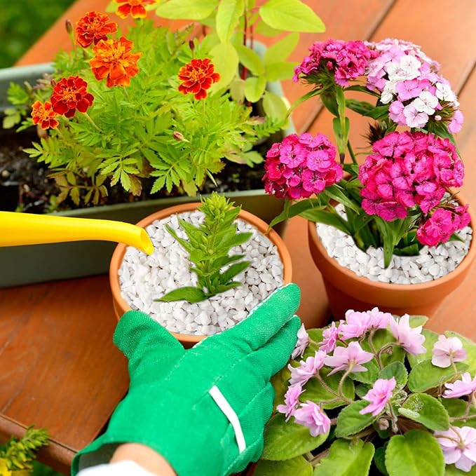 Halatool 2QT Perlite for Plants Indoor 3-6mm Premium Perlite Bulk for Gardening Natural Potting Soil Mix Additive for Holding Moisture Aeration Drainage