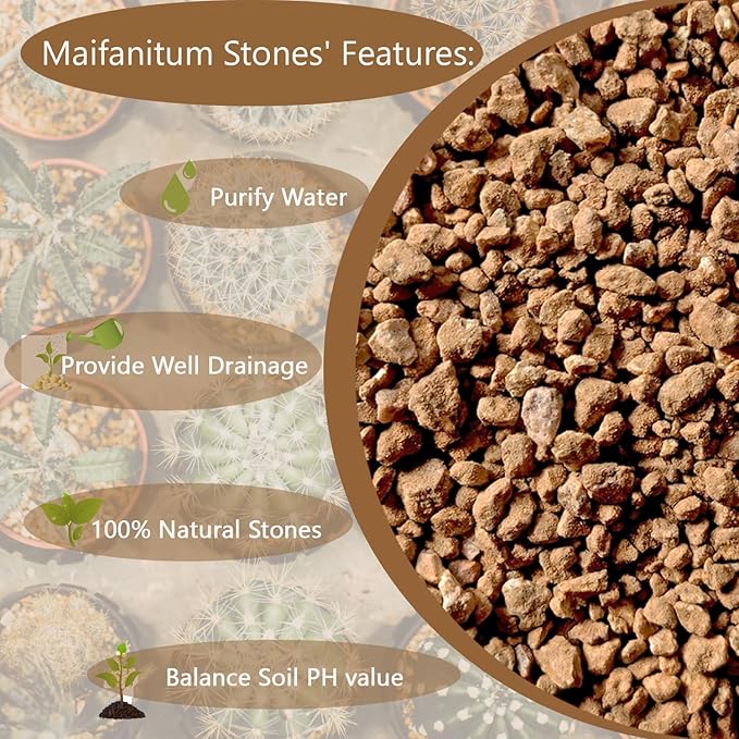 5LBS Soft Golden Maifanitum Stones, Succulent Cactus Decorative Rocks, Indoor Plants Top Dressing Soil, Horticultural Gravel DIY Potting Rocks for Bonsai Fairy Gardening Vases Fillers Terrarium