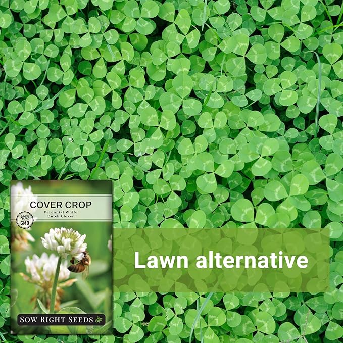 Sow Right Seeds - White Dutch Clover Seed for Planting - Cover Crops to Plant in Your Home Garden - Nitrogen Fixer - Suppress Weeds - Attracts Pollinators - Non-GMO Heirloom Seeds - Gardening Gift (2)