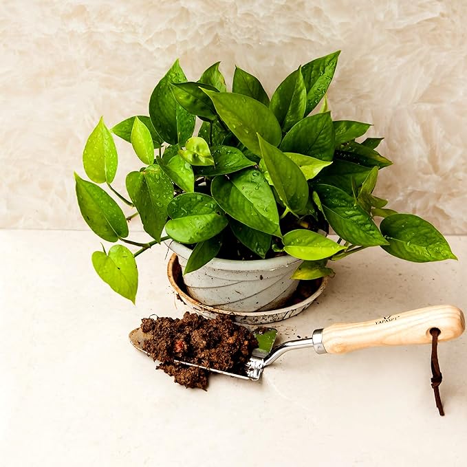 Gardening Tool Sets – Garden Hand Tools Kits with Wood Handle and Stainless Steel Head，Trowel, Hoe, Shear