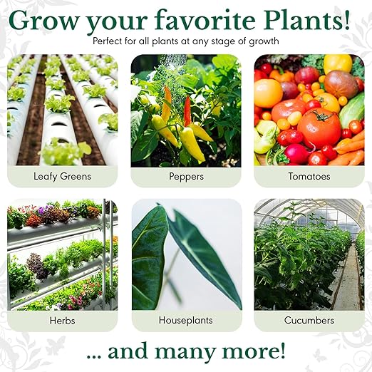 HydraCalMag Calcium Magnesium & Iron - Liquid Plant CalMag Fertilizer For Indoor and Outdoor Hydroponic Systems, Soil Gardens & Foliar Spray Nutrient for Prevention & Repair of Plant Deficiencies 32oz