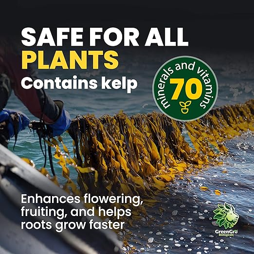 GreenGro Granular Plus Myco, All-in-One Fertilizer with Kelp and Humic Acid for Plants, Organic Root Stimulator Plant Food with Mycorrhizae for Indoor & Outdoor Gardens