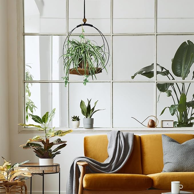 Hanging Planters for Indoor Plants - Plant Hanger Outdoor Pack of 2, Metal Plant Hanger Mid Century, Hanging Wall Ceiling Window, Gift for Mom, Plant Lovers, Housewarming