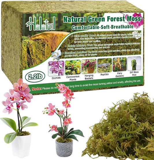 Halatool 2.2LB Forest Moss for Plants Indoor, 50QT Orchid Moss for Potting Mix, Natural Dried Sphagnum Moss Bulk for Moss Pole Succulents Garden Flowers Reptiles