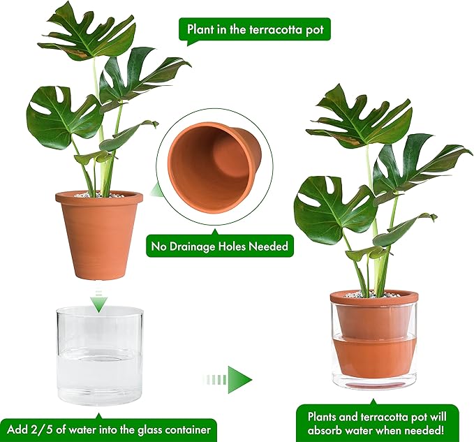 D'vine Dev 6 Inch Design Self Watering Pot for Indoor Plants, Terracotta Planter with Cylinder Glass Cup, Set of 2, 37-X-B-2