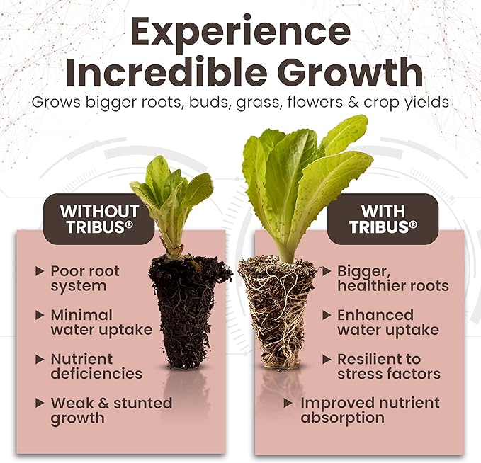 Tribus Organic Microbial Inoculant – Root Booster for Plants, Increases Plant Yield, Root Growth, Flower & Fruit Quality. Bloom Booster. Visible Root Growth in 24Hrs. Liquid Color May Vary. 16.9 oz